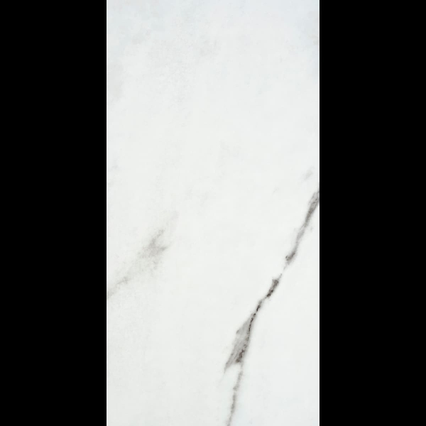 Керамогранит 595х1200 PIUR ICE SATINADO RECT